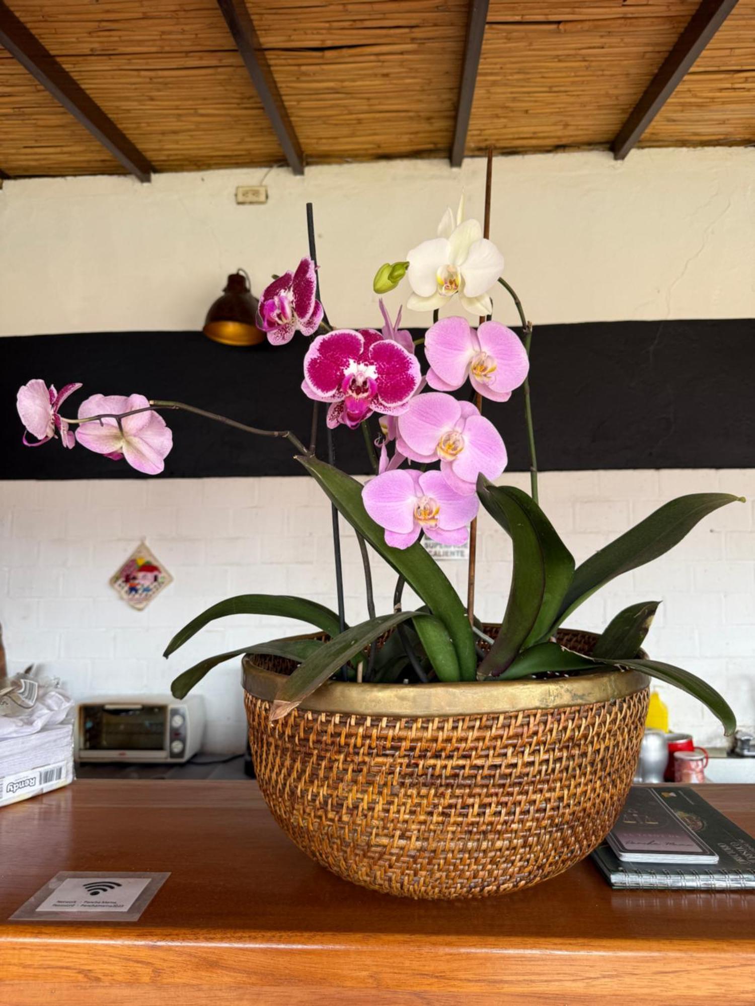 Pancha Mama Hotel Boutique Villa de Leyva Buitenkant foto